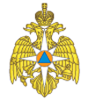 МЧС РФ